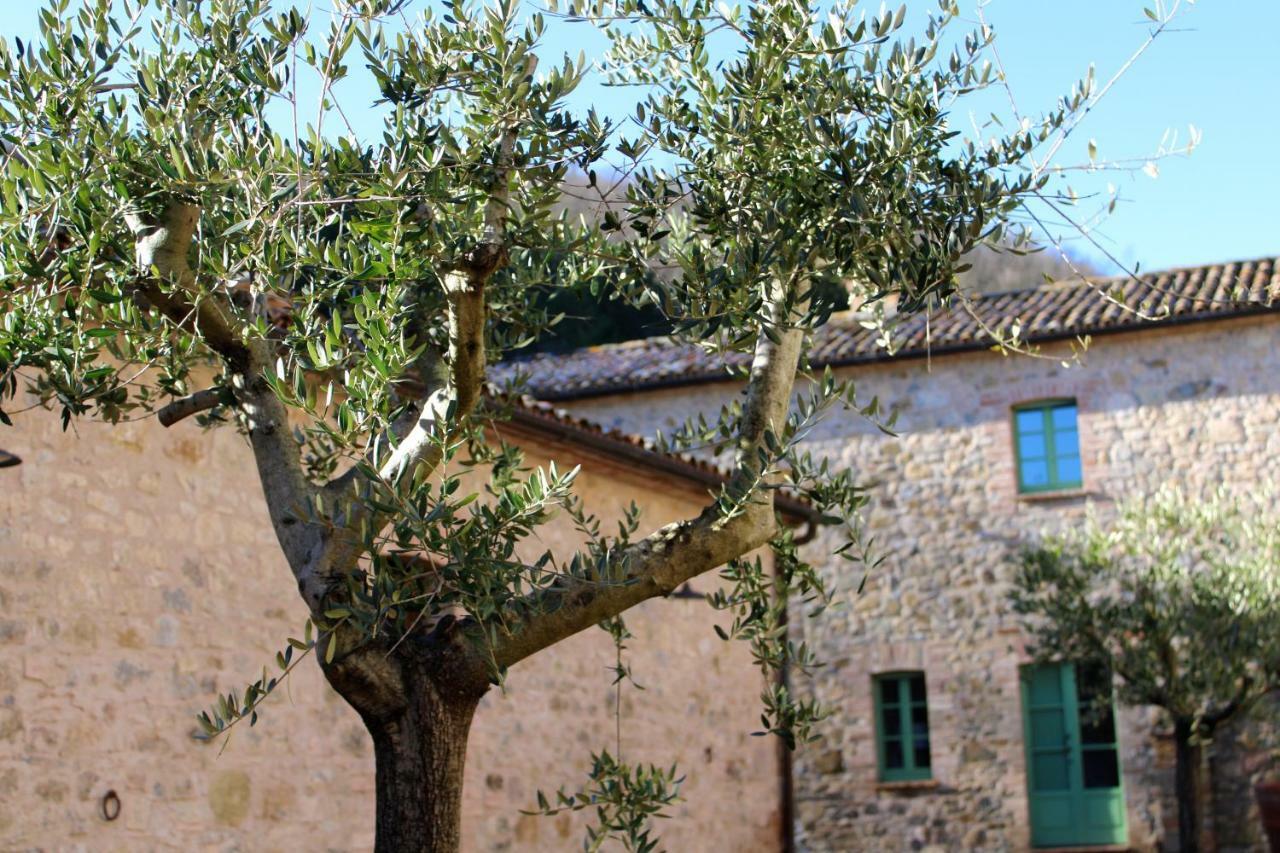 Spao Borgo San Pietro Aquaeortus Trevinano Exterior foto