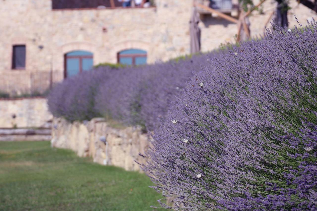 Spao Borgo San Pietro Aquaeortus Trevinano Exterior foto